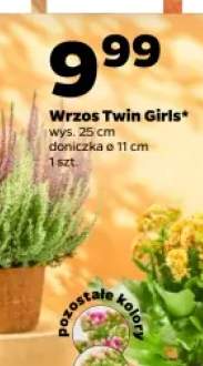 Wrzos Twin Girls
