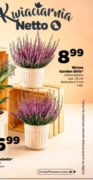 Wrzos Garden Girls wys. 25 cm