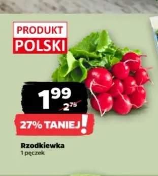 Rzodkiewka