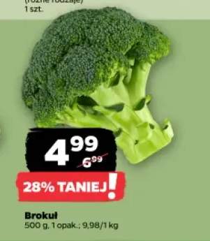 Brokuł