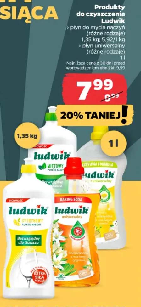 Płyn do mycia naczyń Ludwik +1 wariant
