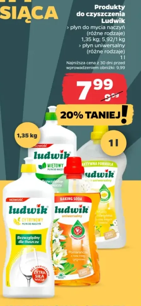 Płyn do mycia naczyń Ludwik +1 wariant