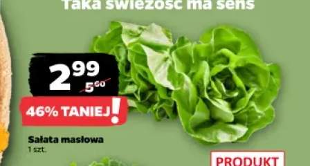 Sałata masłowa