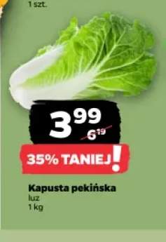 Kapusta pekińska