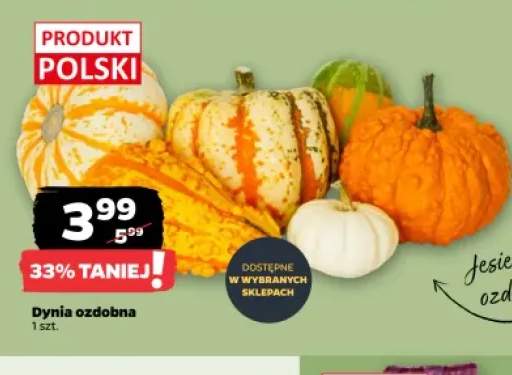 Dynia ozdobna
