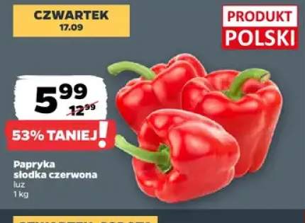 Papryka słodka czerwona