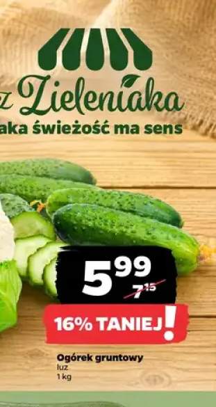 Ogórki gruntowe