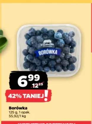 Borówka