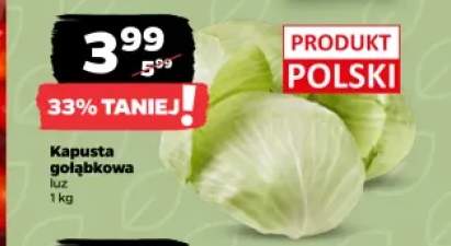Kapusta gołąbkowa