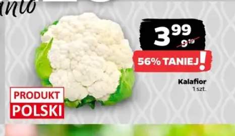 Kalafior