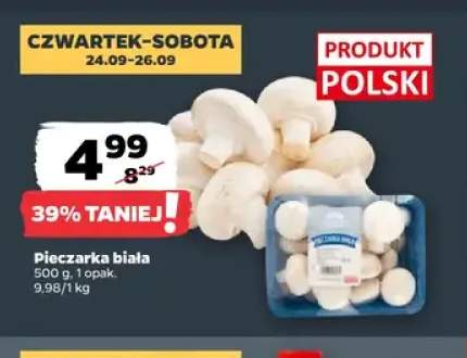 Pieczarki białe
