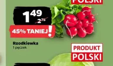 Rzodkiewka