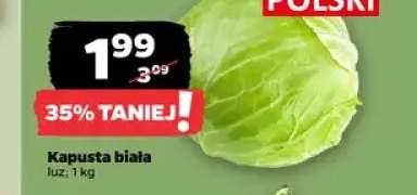 Kapusta biała