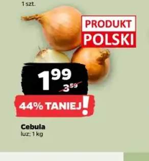 Cebula