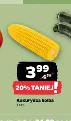 Kukurydza kolba