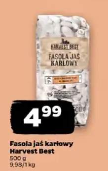 Fasola jaś karłowy Harvest Best
