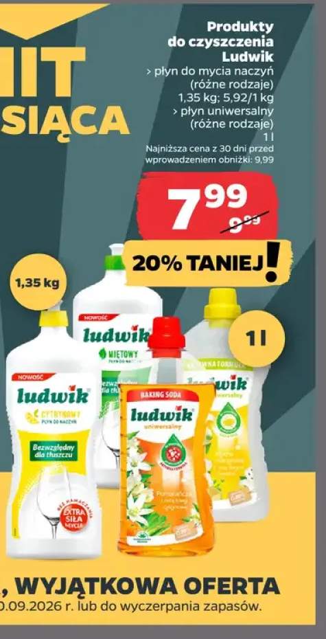Płyn do mycia naczyń Ludwik +1 wariant
