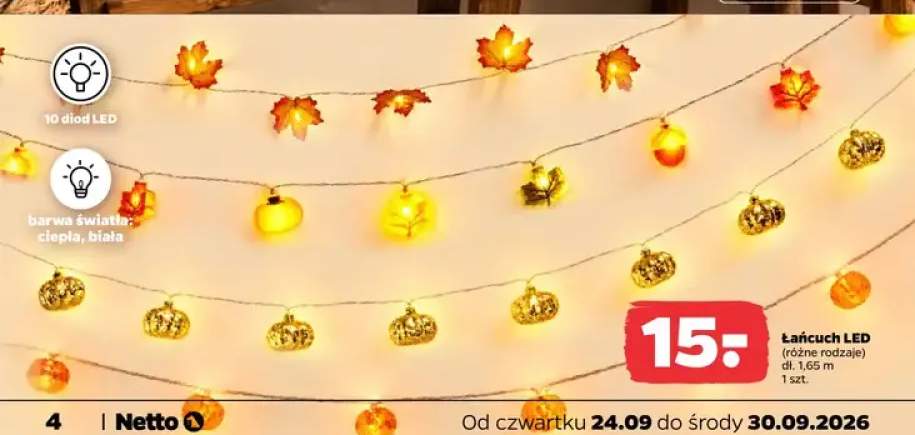 Łańcuch LED 1,65 m