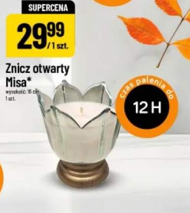 znicz