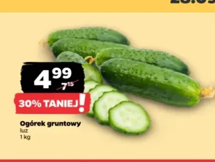 Ogórki gruntowe