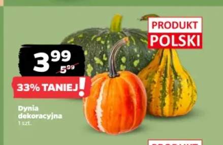 Dynia dekoracyjna