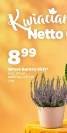 Wrzos Garden Girls