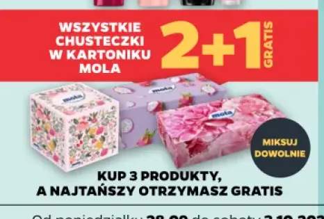 Chusteczki w kartoniku Mola