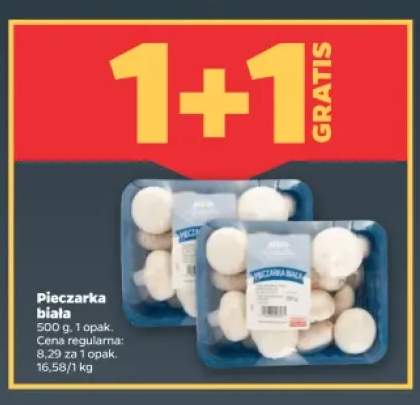 Pieczarka biała