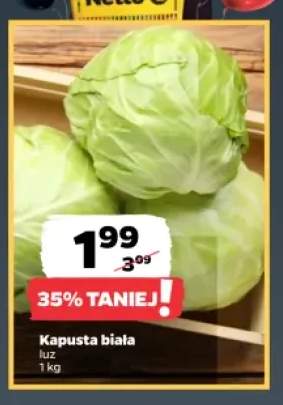 Kapusta biała