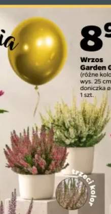 Wrzos Garden Girls