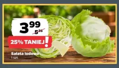 Sałata lodowa