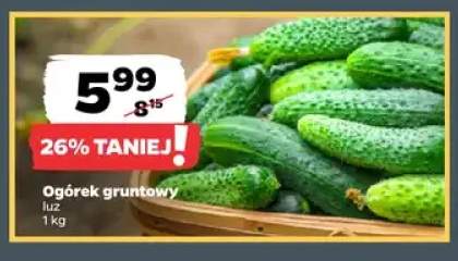 Ogórki gruntowe