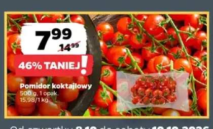 Pomidor koktajlowy