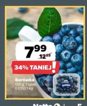 Borówka