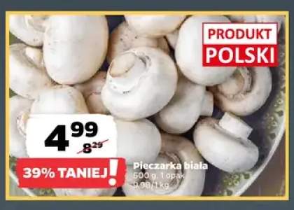 Pieczarka biała
