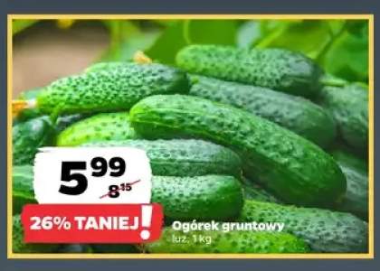Ogórki gruntowe