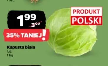 Kapusta biała