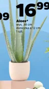 Aloes