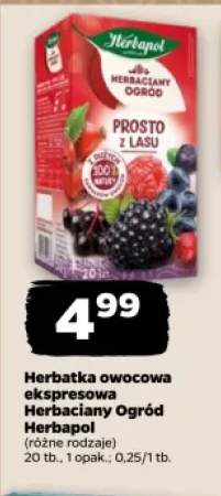 Herbatka owocowa ekspresowa Herbaciany Ogród Herbapol