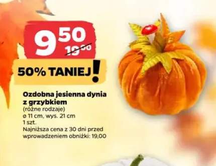 Ozdobna jesienna dynia z grzybkiem