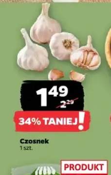 Czosnek