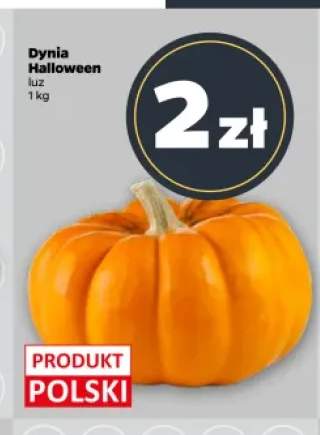 Dynia Halloween