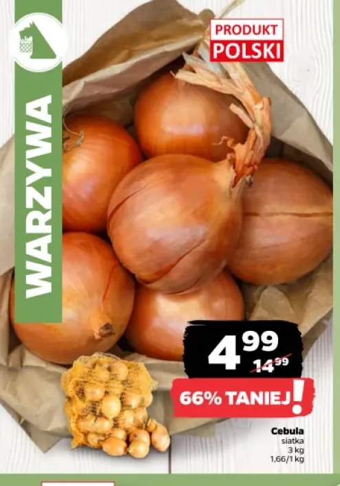 Cebula polska