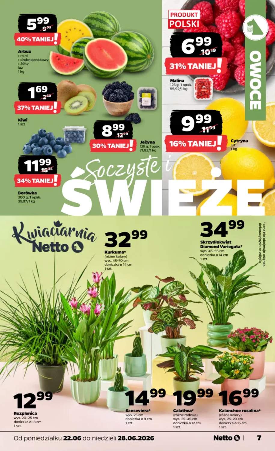 Gazetka – strona 7