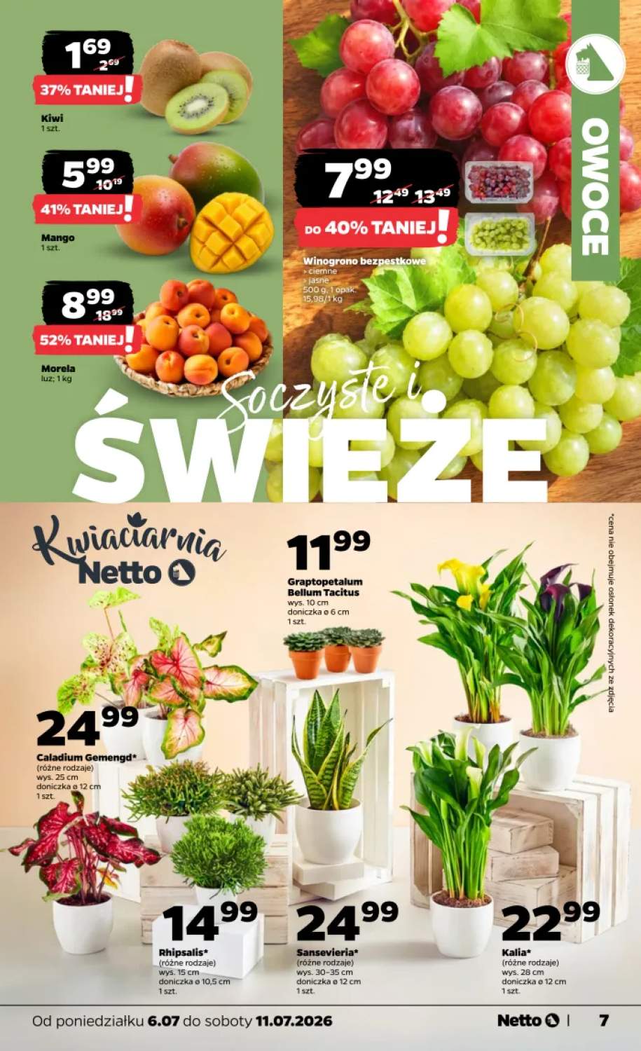 Gazetka – strona 7
