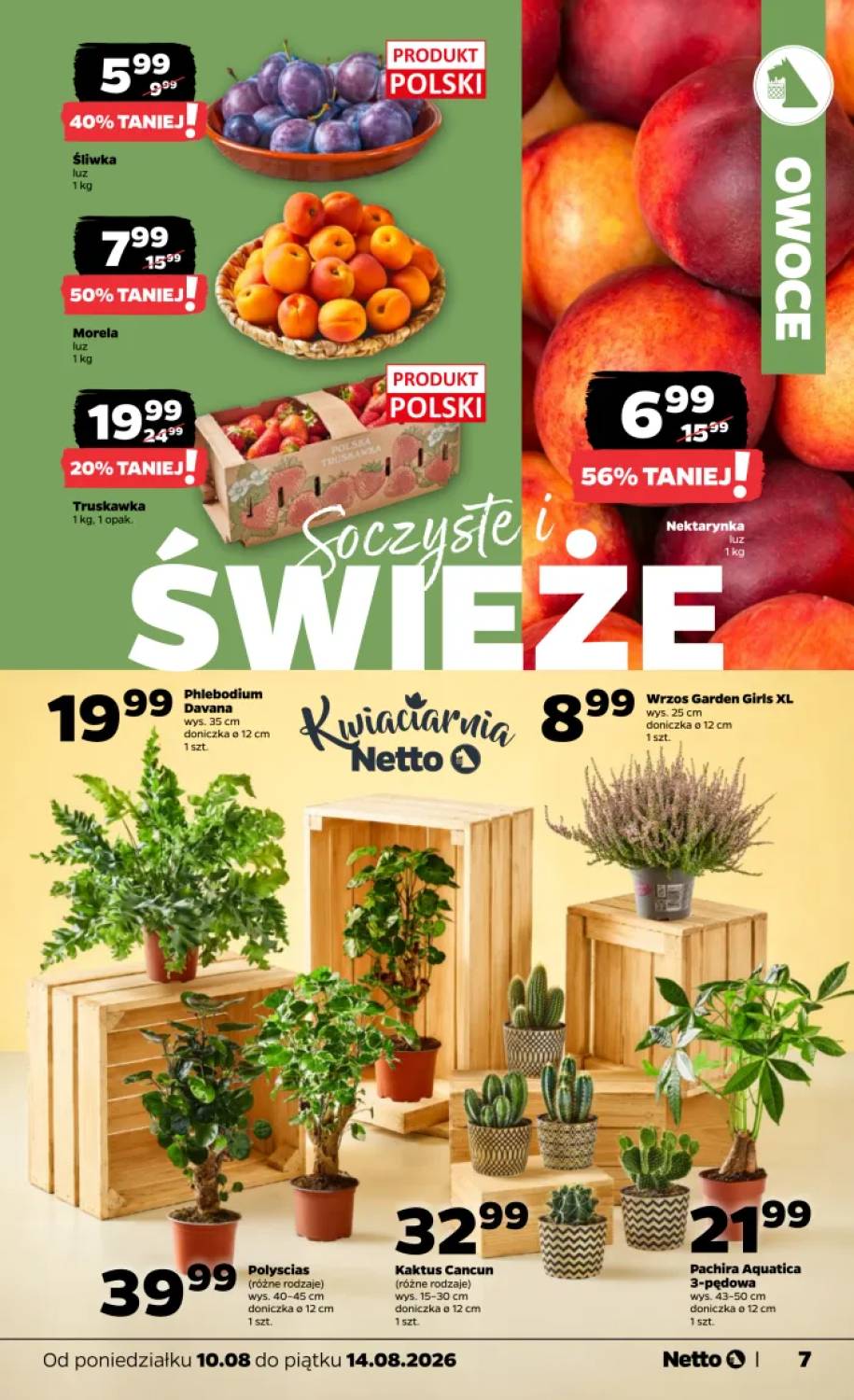 Gazetka – strona 7